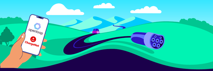 Octopus leads the charge for EV owners | Octopus Energy NZ