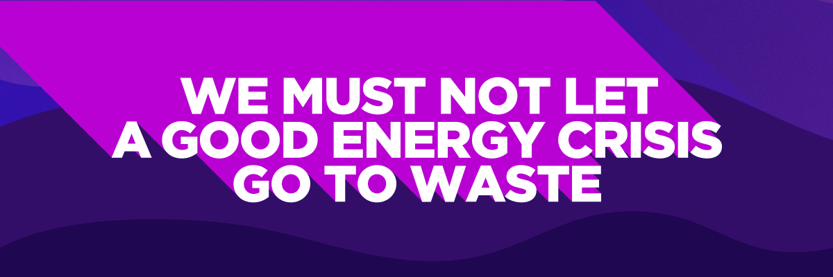 we must not let a good energy crisis go to waste banner